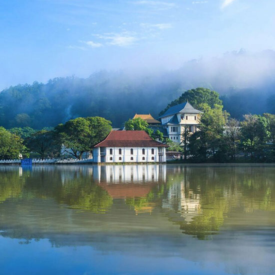 Rentals in kandy